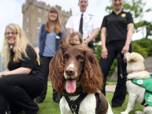 Paws for Progress team (and dogs)