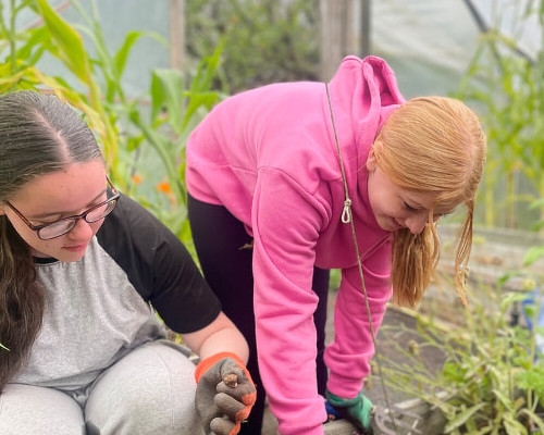 Children gardening